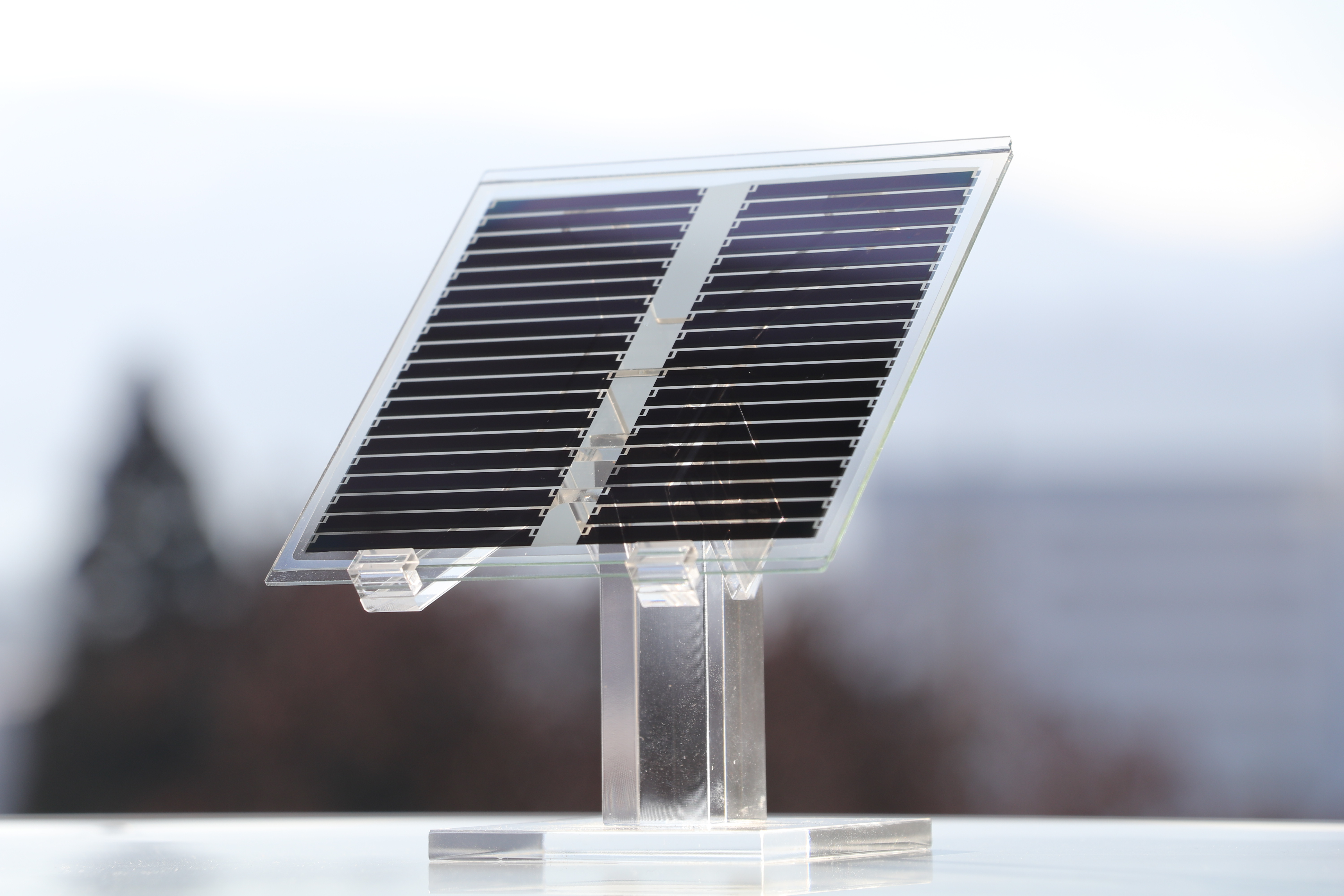 Yamagata University, INOEL, Organic & Next Generation Solar